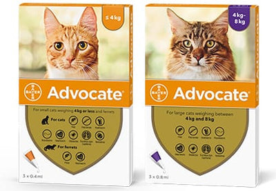Advocate Cat - противопаразитни пипети за котки, 3 броя
