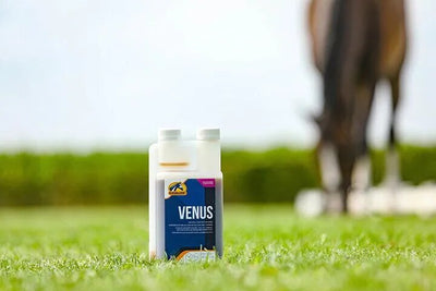 Cavalor Venus - е формулиран с няколко естествени активни съставки, които подпомагат регулирането на цикъла на кобилите 500 мл.
