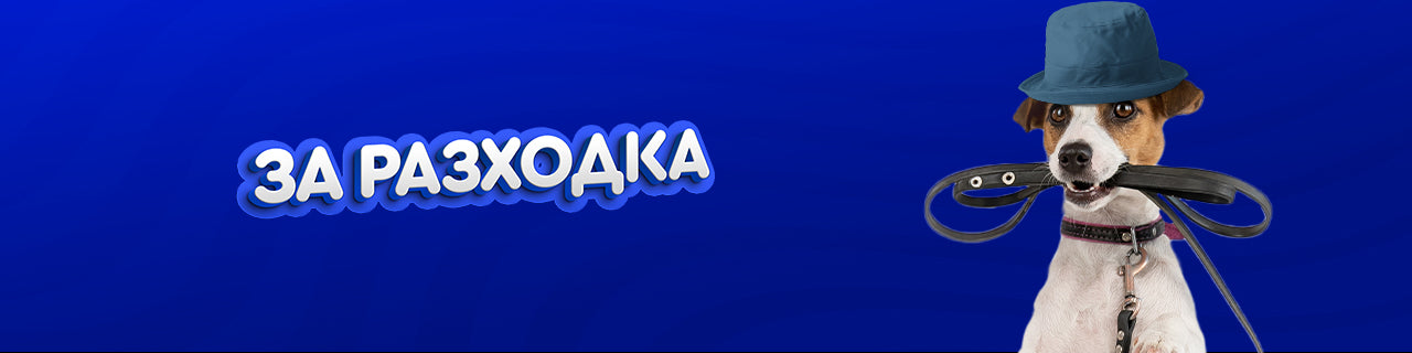 За разходка