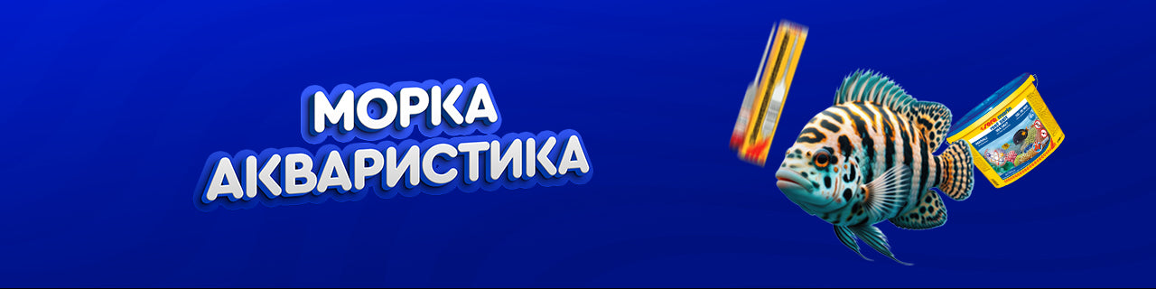 Морска акваристика