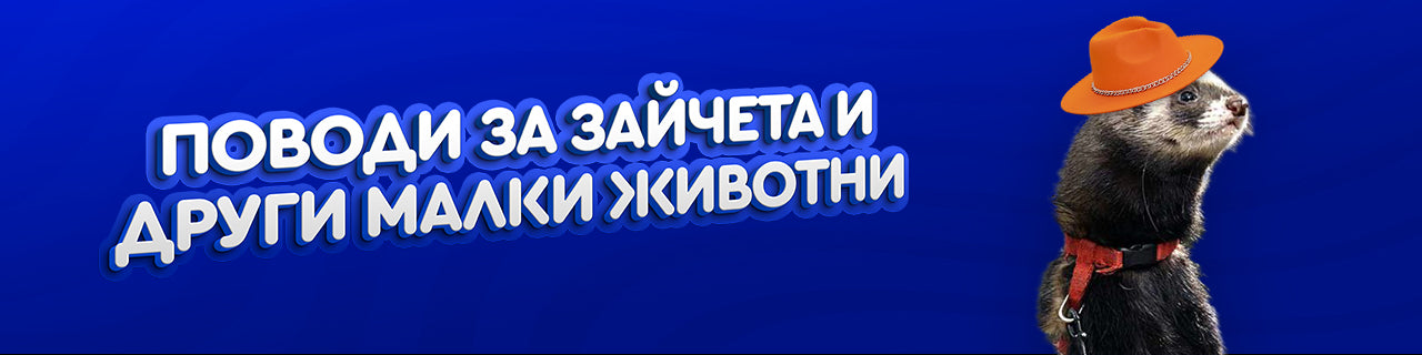 Поводи за зайчета и други