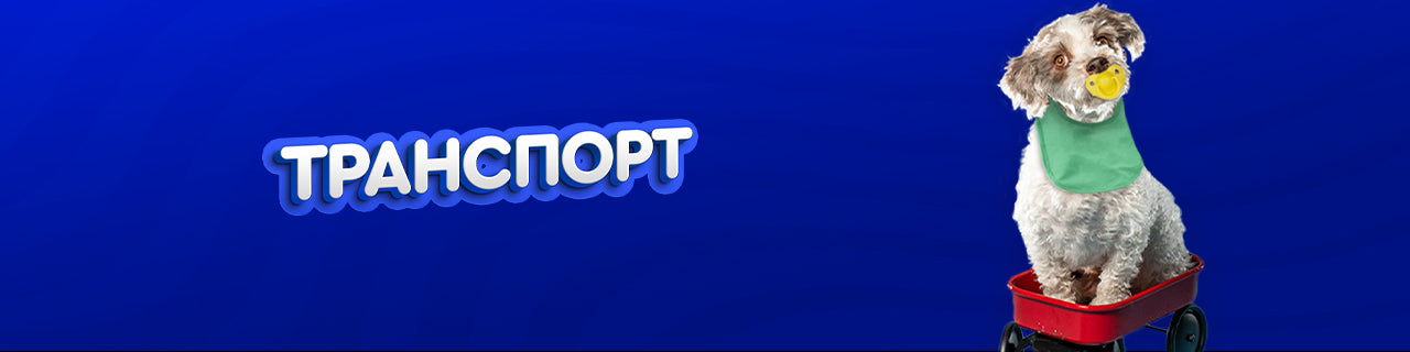 Транспорт