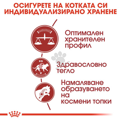 a010533a3e1d41c97d4b6bfeee588c25.jpeg