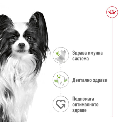 a04787e1478efee0a4d8b59afe64c348.jpeg