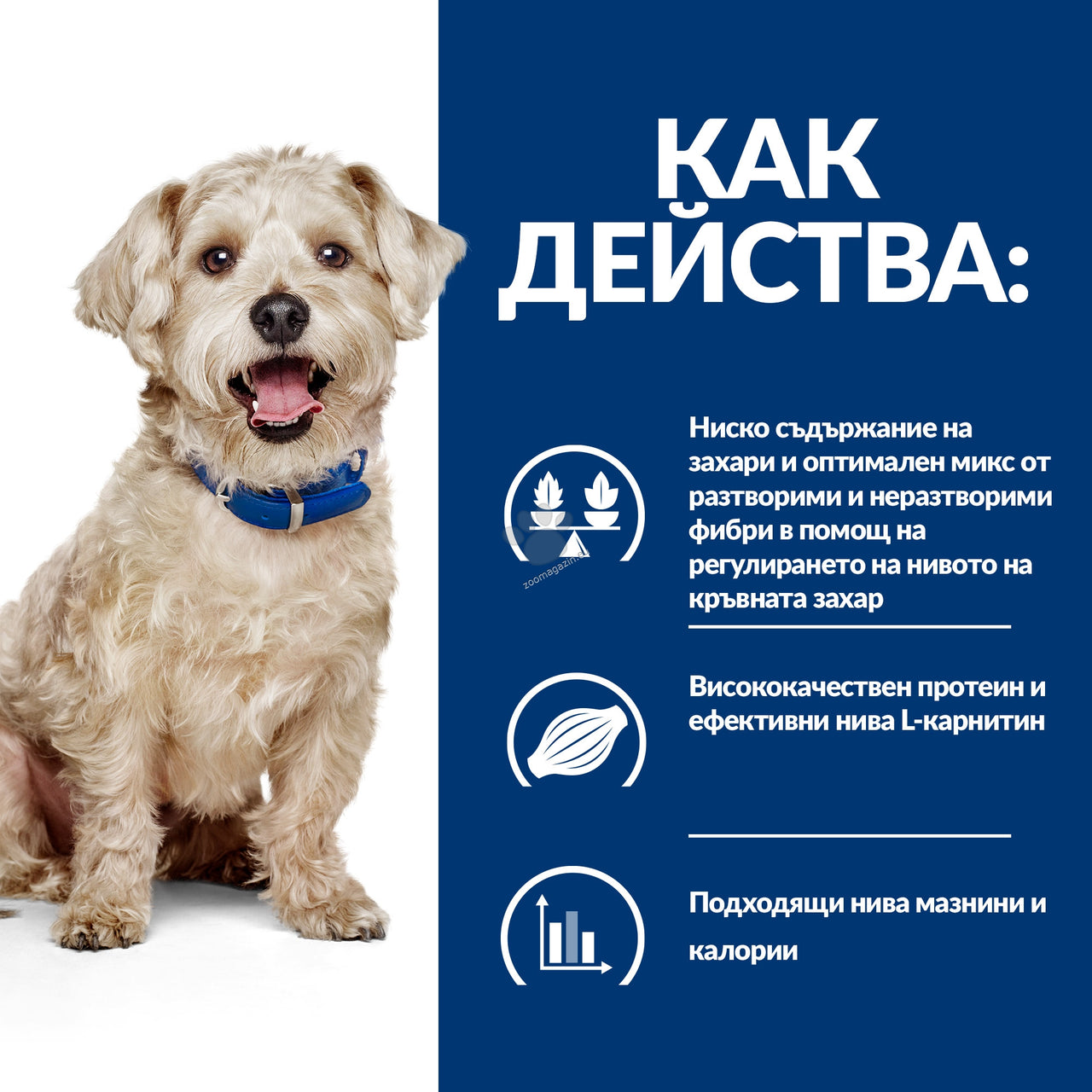 a257259ea2ea0af077755a6e22fb8806.jpeg