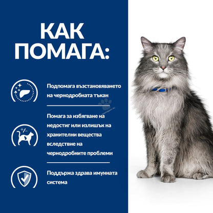a2a450f77491bfe99f4b59d3943f65fa.jpeg