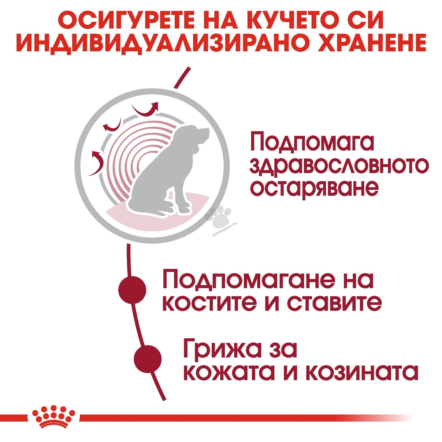 РАЗПРОДАЖБА Royal Canin Medium Ageing Pouch - пълноценна храна за кучета в напреднала възраст от средни породи (от 11 до 25 кг) над 10 години 140 гр