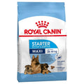 Royal Canin Maxi Starter - за кучки от края на бременността и по време на кърменето и отбити кученца до 2 месеца