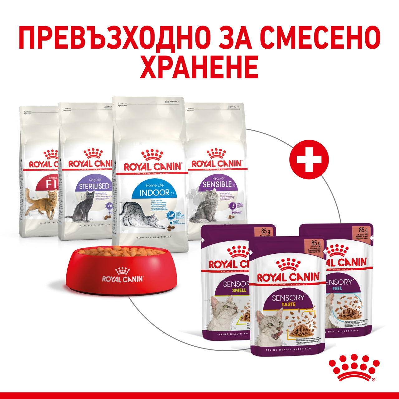 a3b6d7e152bf29aea4363a8a2f653516.jpeg