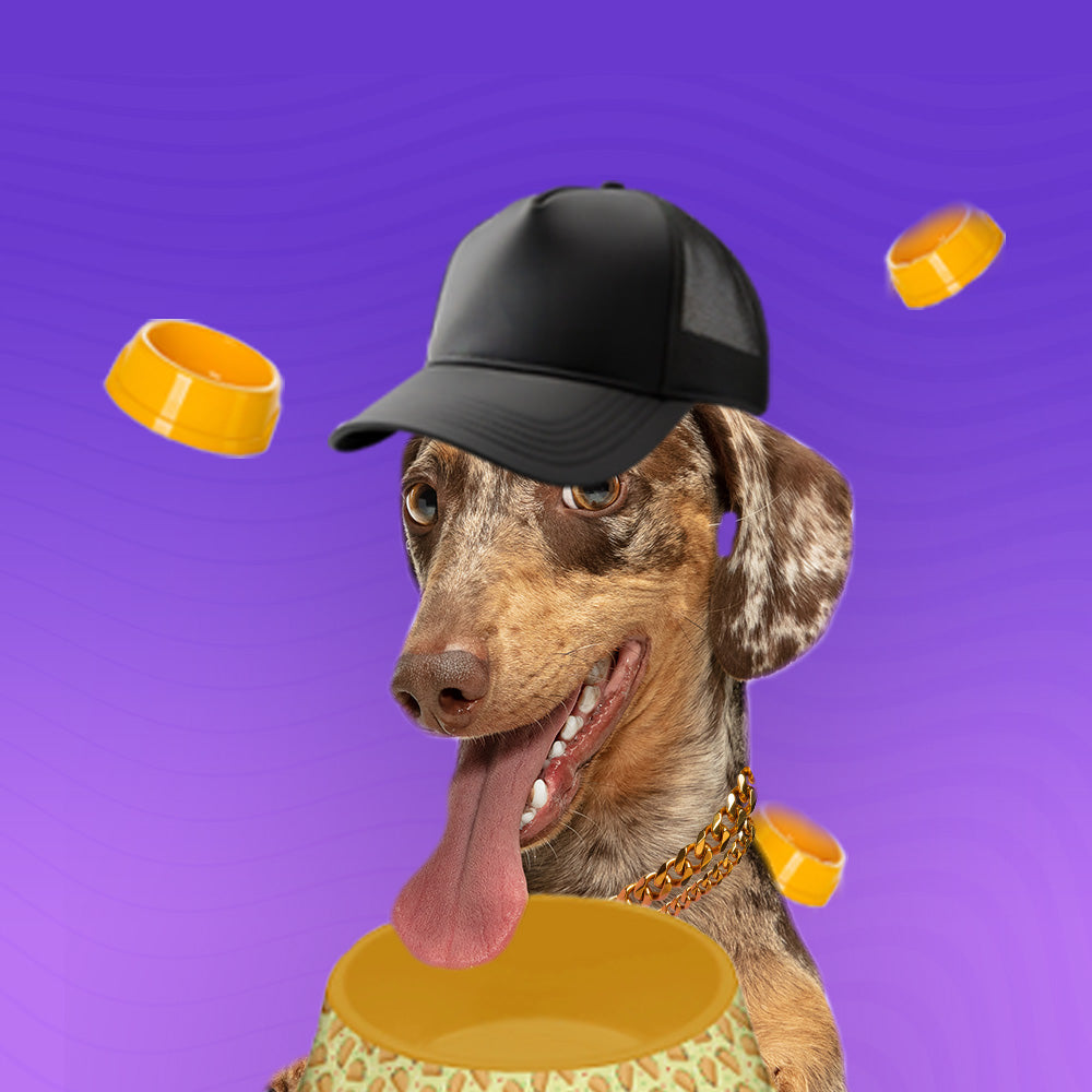 Съдове за храна и вода