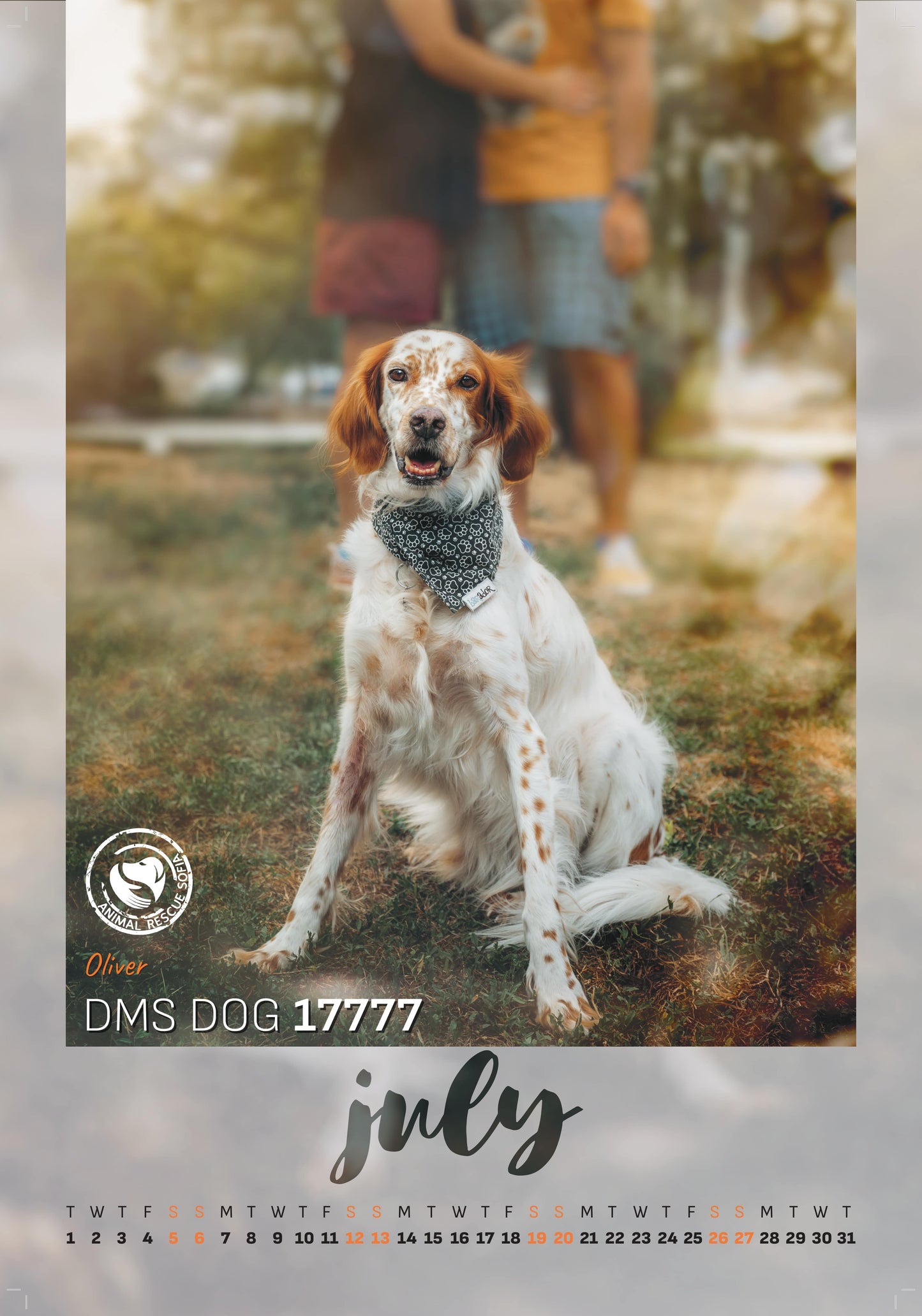 Animal Rescue Sofia - дарителски календар за 2025 година