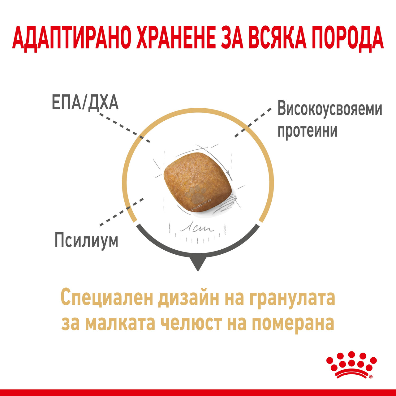 aa792735606c91d7146334da05be605f.jpeg
