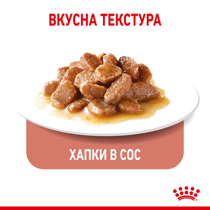 ab99c30f6ae0847a9f5cad535106e581.jpeg