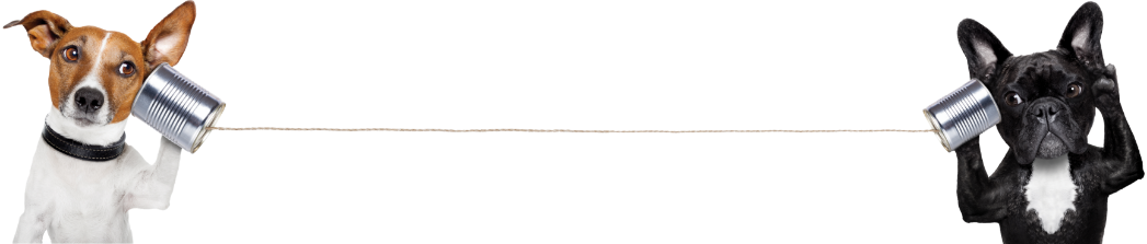 Джак Ръсел Териер и Френски Булдог общуват чрез консервени кутии и връв