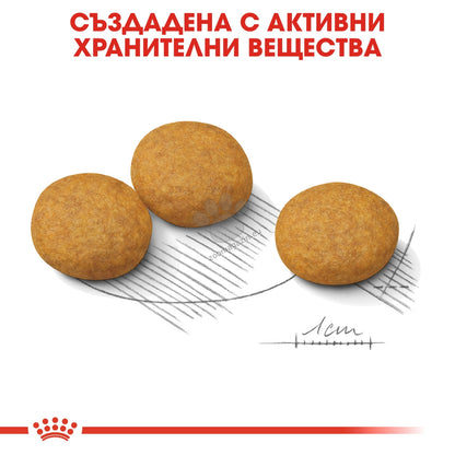 ac11fcb91b6509a478f0d7ed5afe872d.jpeg