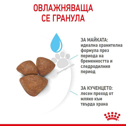 ad50940259906cf771bc3bc2d3dad472.png