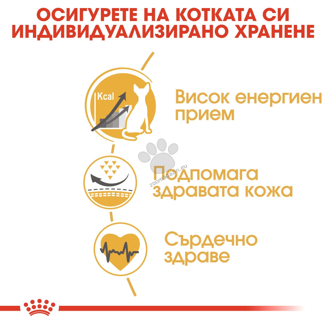 adbac837675bcfd87f9a3aa015a36ed9.jpeg