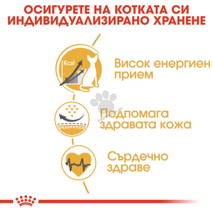 adbac837675bcfd87f9a3aa015a36ed9.jpeg