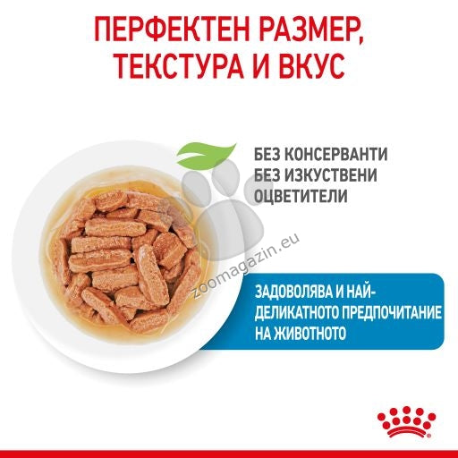 af02a23f984b9dc7768468da2100557d.jpeg