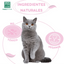 Menforsan Anti Scratch And Bite Cats - спрей против драскане и хапане 60 мл.