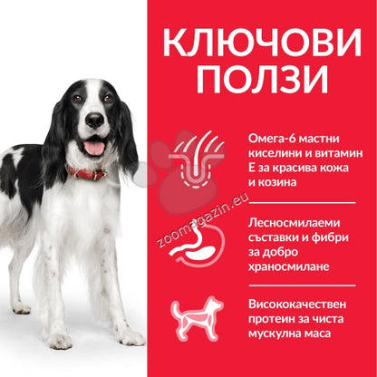 b23f87f8786fda6f794fcb92d04c69d0.jpeg