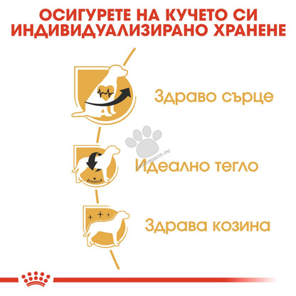 b293d0e0d741db83ce3f39d53d093418.jpeg