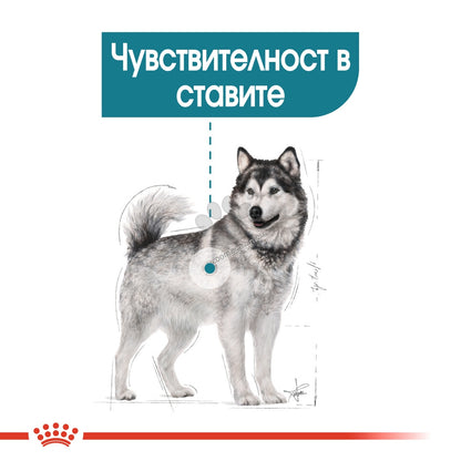b38b2907c3c6754a154a2e27da3e3c89.jpeg