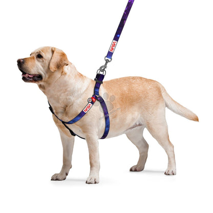 Waudog Harness NASA 21 M - нагръдник с QR код за сигурност 50 / 75 см / 20 мм