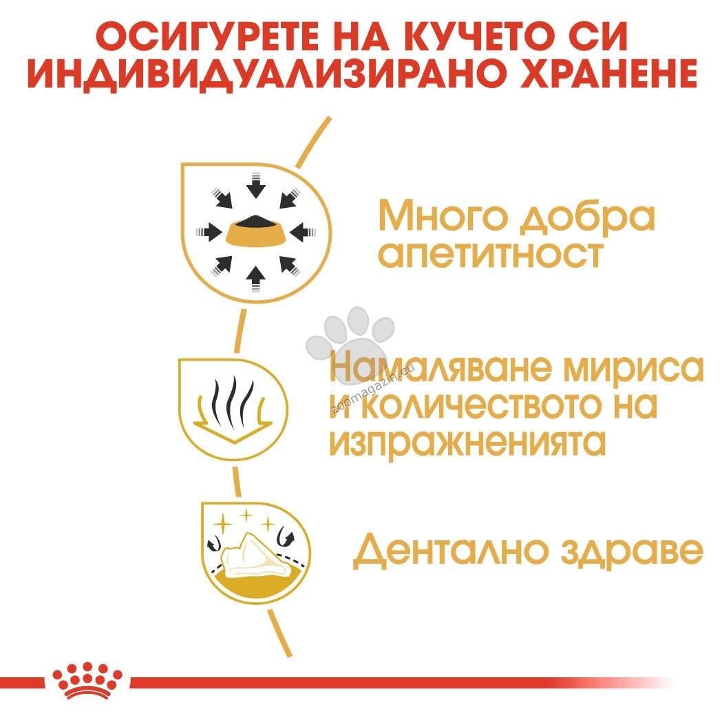 b6658da518f4ba2030130cb0c065c569.jpeg