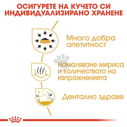 b6658da518f4ba2030130cb0c065c569.jpeg