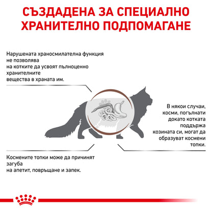 b703f96d1c4a07d6dfd57f265ce9c036.jpeg