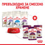 РАЗПРОДАЖБА Royal Canin Sensory Taste in Jelly - пълноценна храна хапки в желе в пауч за котки в зряла възраст над 1 година 85 гр.