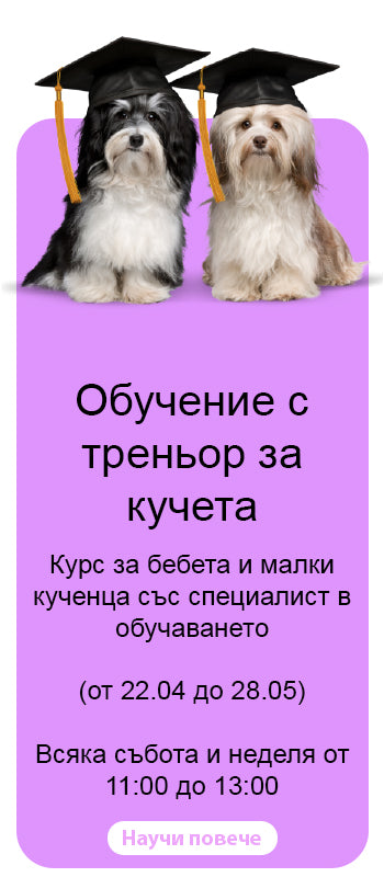 Обучение с треньор за кучета
Курс за бебета и малки кученца със специалист в обучаването
(от 22.04 до 28.05)
Всяка събота и неделя от 11:00 до 13:00