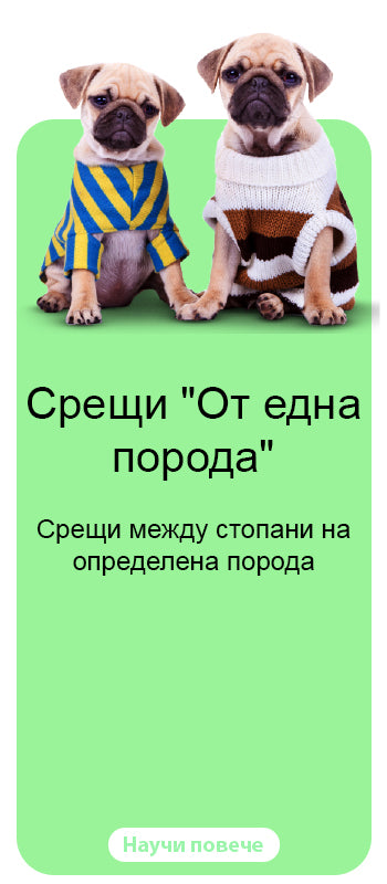 Срещи "От една порода"
Срещи между стопани на определена порода