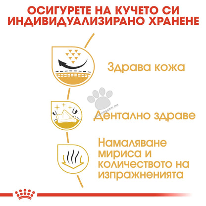 bcf108cda1f6957a9901c3486a27dbeb.jpeg