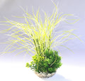 Sydeco Grass Bouquet 35 см.