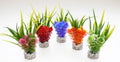 Sydeco Nano Fiesta Flower 14 см. / розово, червено, синьо, оранжево, зелено /