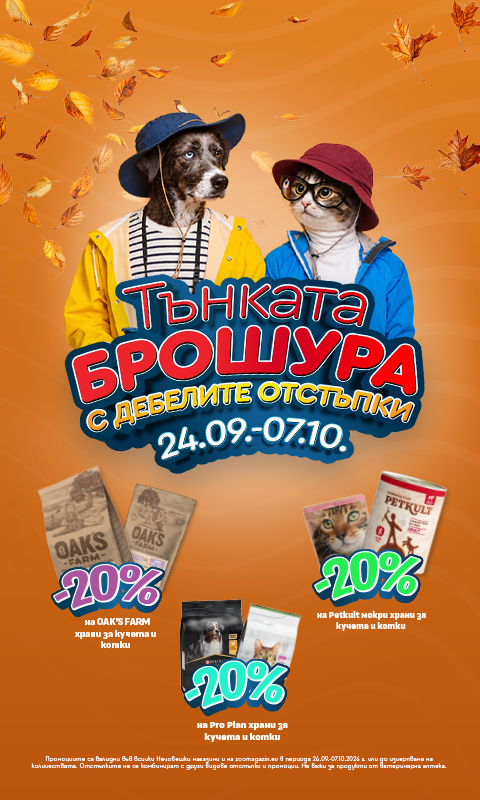 Promo banner