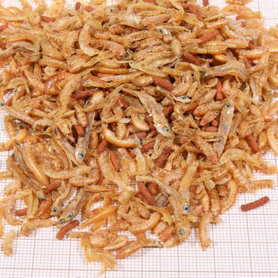 JBL ProTerra Baby - пълноценна храна за млади водни костенурки 250 мл