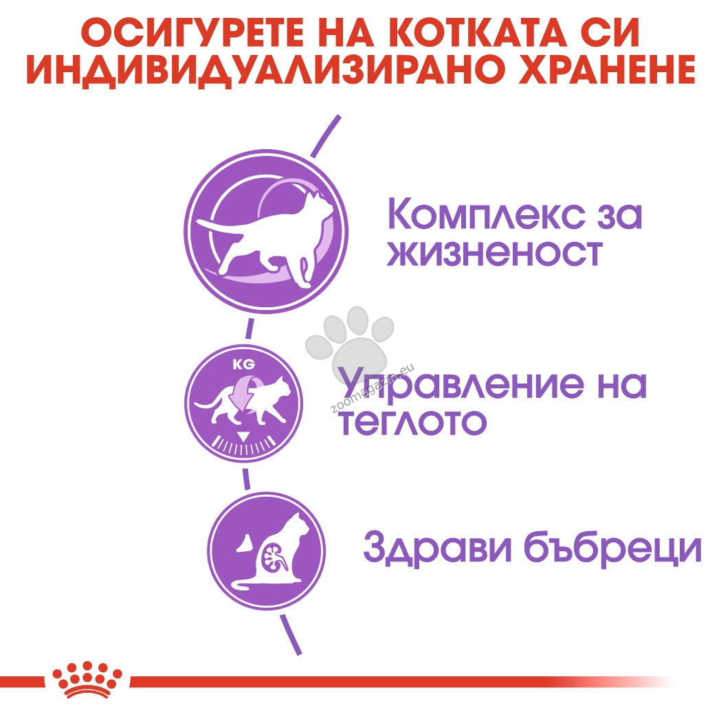 c7ccb39daf98c07a99f184ea967540ca.jpeg
