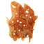 Rasco Premium Snacks Soft Chicken Strip Cheese - меки пилешки ленти със сирене 80 гр