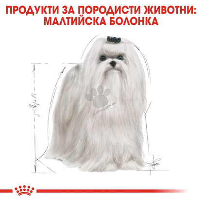 ca27bfb66064660ebd0ba08975253788.jpeg