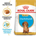Royal Canin Dachshund Puppy - за кучета порода дакел от 2 до 10 месечна възраст 1.5 кг.