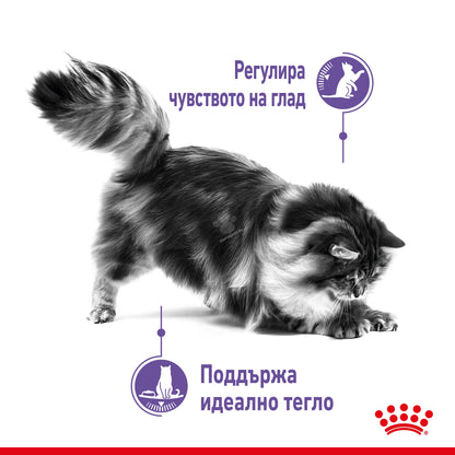 cba9f8fa9f192783d760d632cb4a5966.jpeg