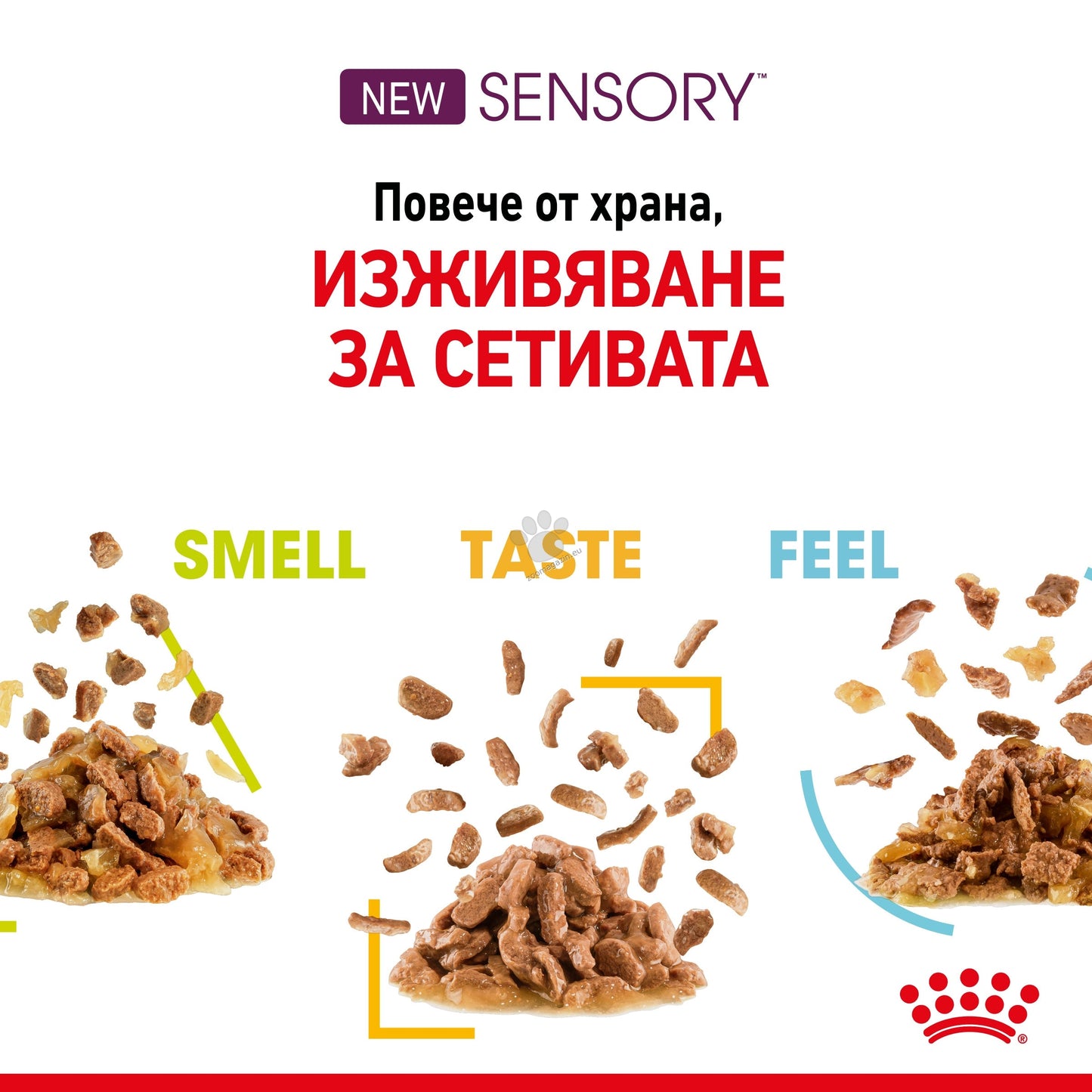 РАЗПРОДАЖБА Royal Canin Sensory Taste in Jelly - пълноценна храна хапки в желе в пауч за котки в зряла възраст над 1 година 85 гр.