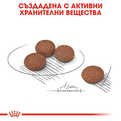 ce13e5b88790f9b5c4ad325ffd4ee21a.jpeg