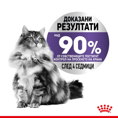 cef1bce62e813b1657eb168d79b68eb6.jpeg