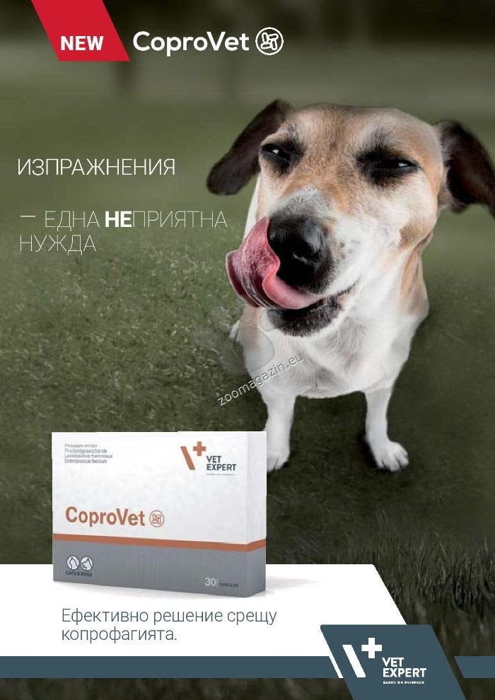 cf4bcc77bb647462d5e03a723a4ec0a1.jpeg