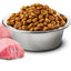 N&D Prime Cat Wild Boar & Apple - пълноценна суха храна за котки в зряла възраст с глиганско и ябълка 5 кг.