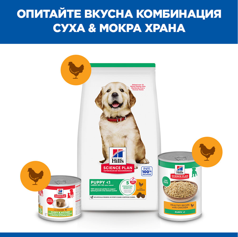 Hills Science Plan Canine Puppy Large Breed - с пилешко, за подрастващи кучета от едри и гиганстки породи, над 25кг, бременни и кърмещи кучета